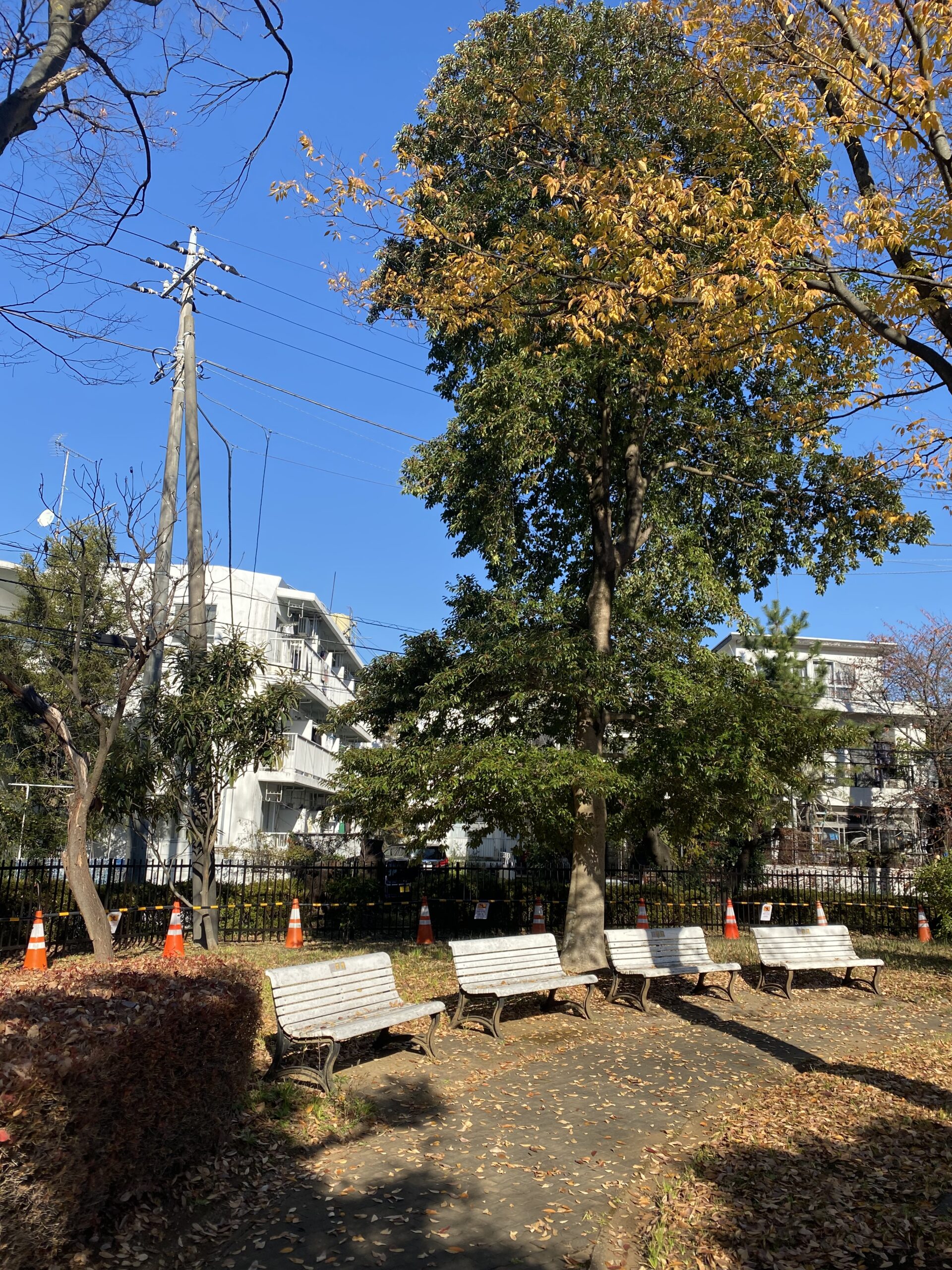 柴田マンションの近隣